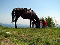 12_Cavallo e bambino